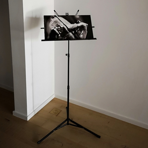 Feel the music